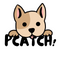 PCatch!